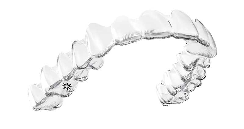 dental lab services